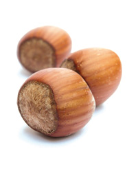 Arôme Armagnac: noisette