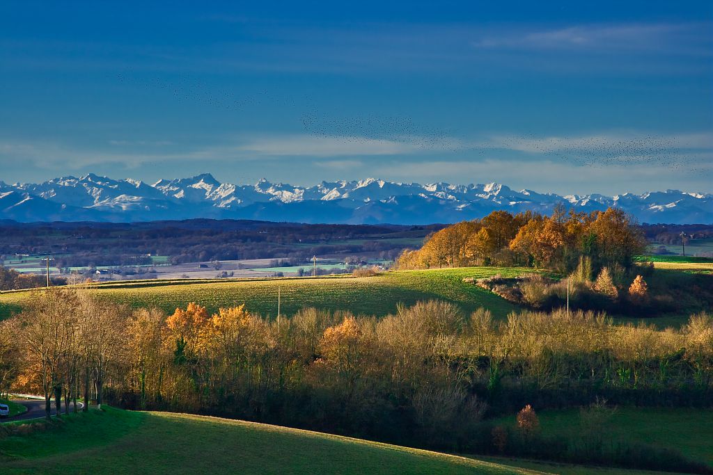 armagnac paysage